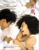 Plum Blossom poster